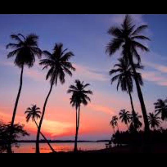 Meet your Posher, Kristen - Picture 1 of 1